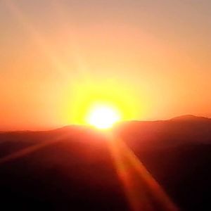 Meet your Posher, Od odko